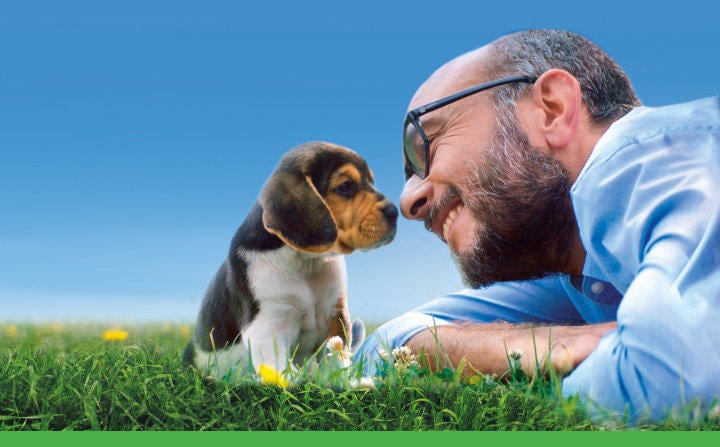 Claritin beagle shop
